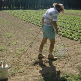 Flame weeder. 4. Hand held