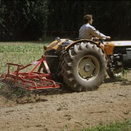 Lely rotary harrow. 1. In action