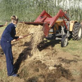 Applying compost. 1. Tractor with scoop of compost