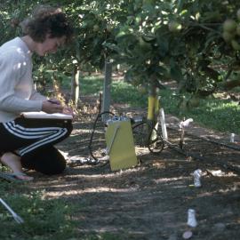 Soil moisture sensor. 2. Working in the field