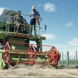Aorangi Harvesting. 1. Driving the harvester