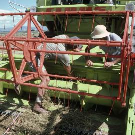 Aorangi Harvesting. 2. Adjusting the harvesting attachment