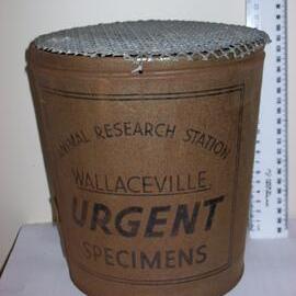 Wallaceville Specimen Bucket