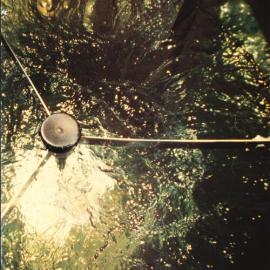 DSIR - Biochemical Processing Centre