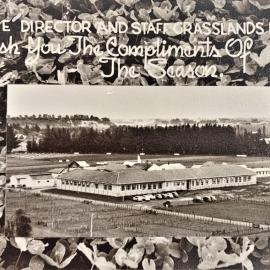 Grasslands Division - Greeting card