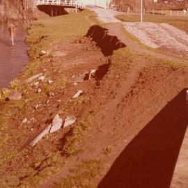 Stream bank erosion near Grasslands campus bridge
