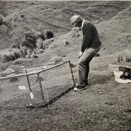 Establishment trial at Ballantrae