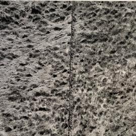 Grazing Impact on Hill Country