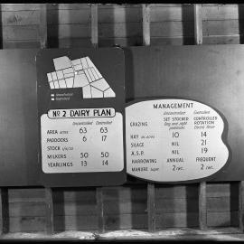 Paddocks of Number 2 Dairy, Ruakura