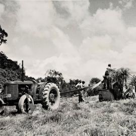 Perennial ryegrass harvesting