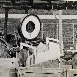 Tractor mounted stock weighing 