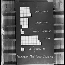 Feed input variance and effect on efficiency