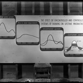 Effect of uncontrolled and controlled systems of farming on lifetime productions