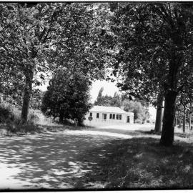 Approach to the Farm Office, Ruakura