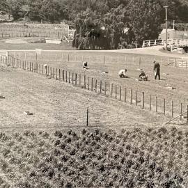 Grasslands plots - 1 of 7