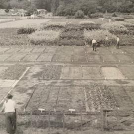 Grasslands plots - 3 of 7