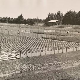 Grasslands plots - 4 of 7