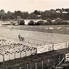 Grasslands plots - 5 of 7