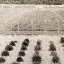 Grasslands plots - 6 of 7