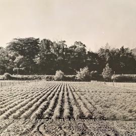 Grasslands plots - 7 of 7