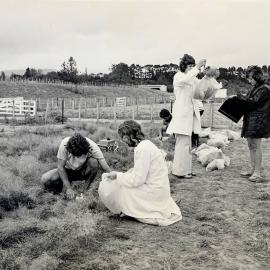 Weighing herbage samples