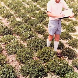 Warren Williams - clover evaluation