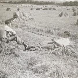 Haymaking breaktime