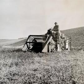 Man driving harvester