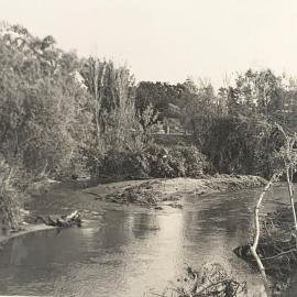 Turitea stream - new cut - 1 of 4