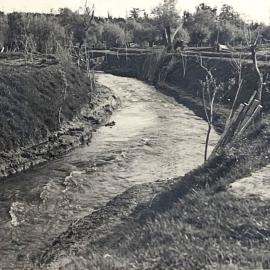 Turitea stream - new cut - 3 of 4