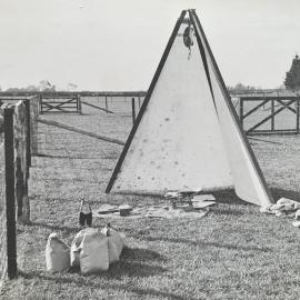 Weighing apparatus for in-field dry matter determination