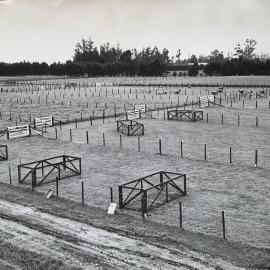 Lincoln - trial area 1948