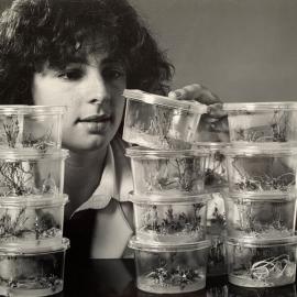 Student appraising seedlings
