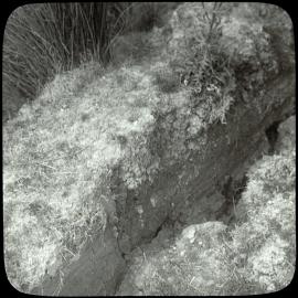Subsidence showing a large crack in the ground